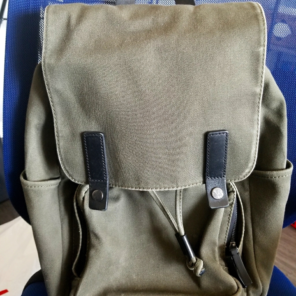 Everlane backpack (olive canvas and leather)